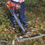 Homeowners Insurance