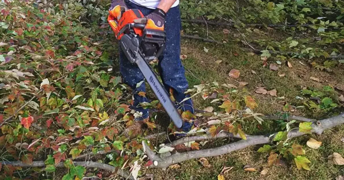 Homeowners Insurance