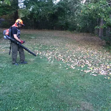 Lot & Land Clearing