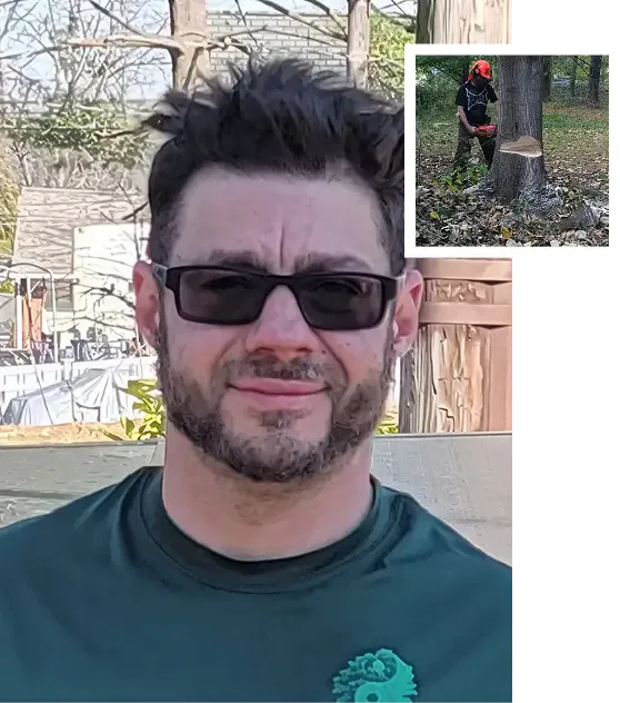 About Sidden Tree Service