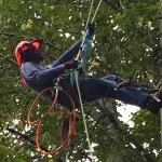 Spring Planting Guide