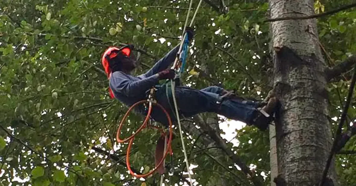 Spring Planting Guide