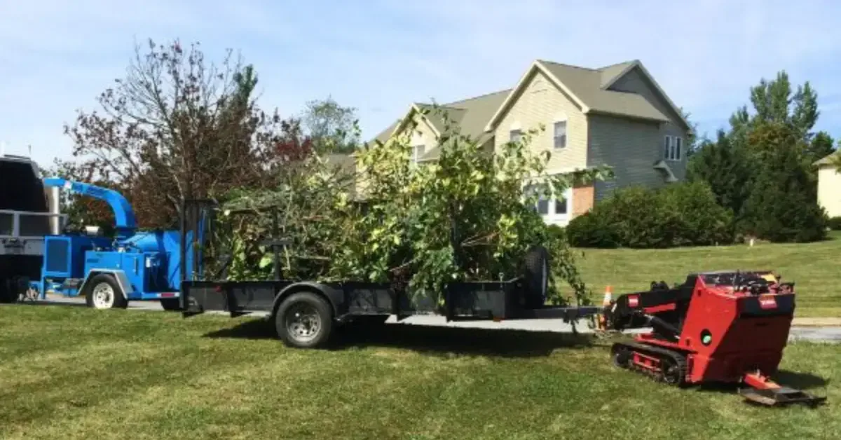 Lot and Land Clearing