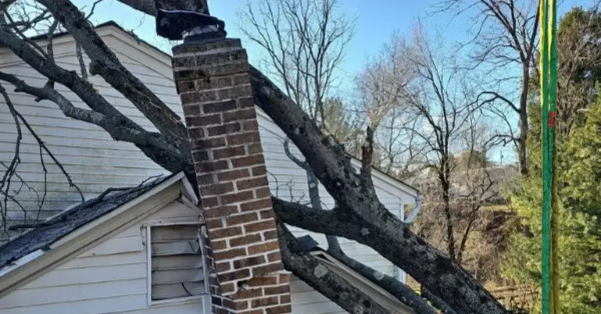 Emergency Tree Service