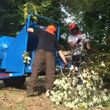 Storm Damage Cleanup