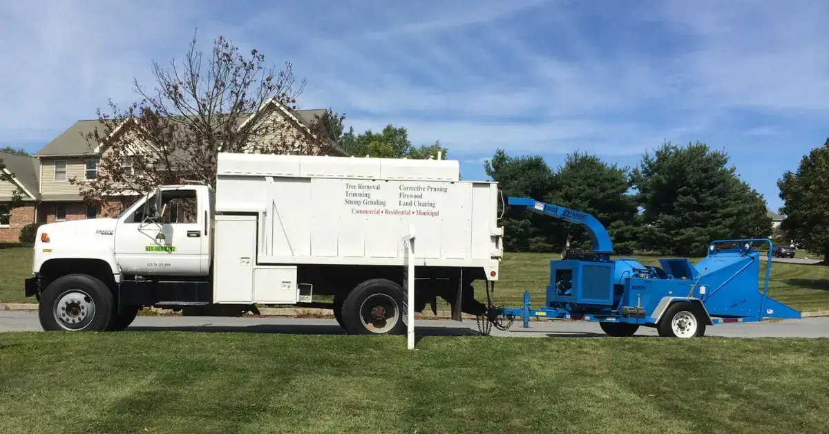 Shrub Trimming/Removal