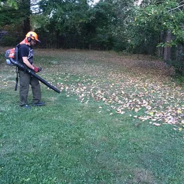 Lot & Land Clearing