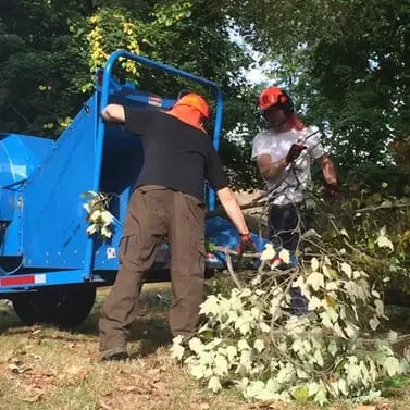 Storm Damage Cleanup