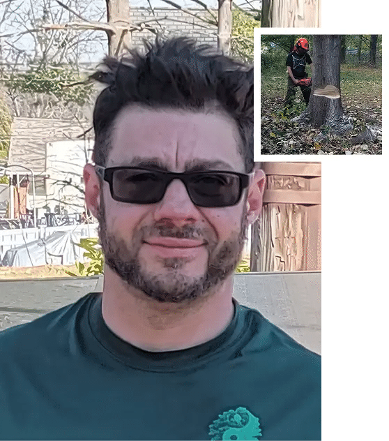 About Sidden Tree Service